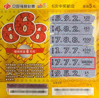 大乐透走势图带线图中的号码周期规律解析与应用